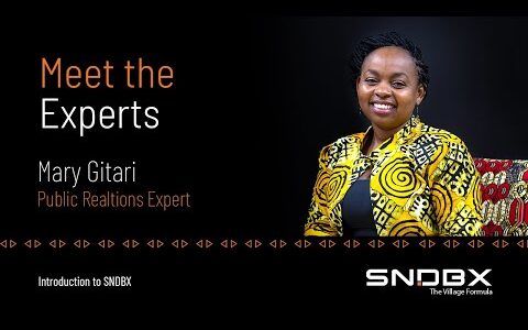 SNDBX Public Relations (PR) Expert | Mary Gitari | SNDBX Reach Engine